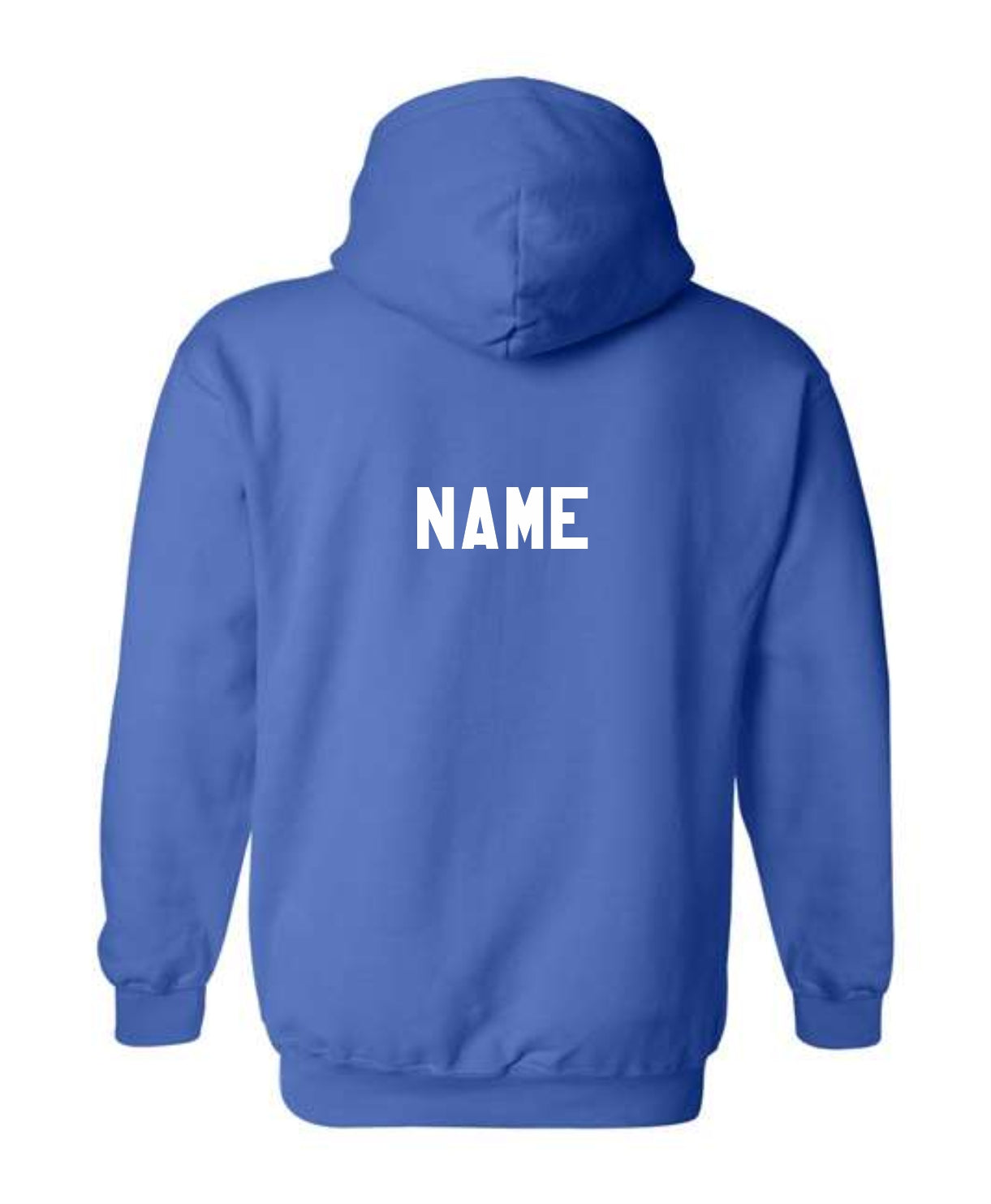 North Babylon LEAGUE CHAMPS Unisex Printed Hoodie